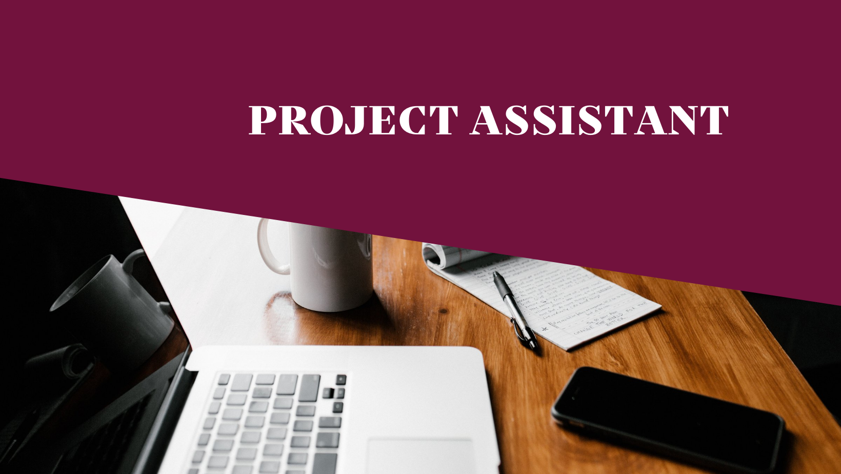 Project Assistant